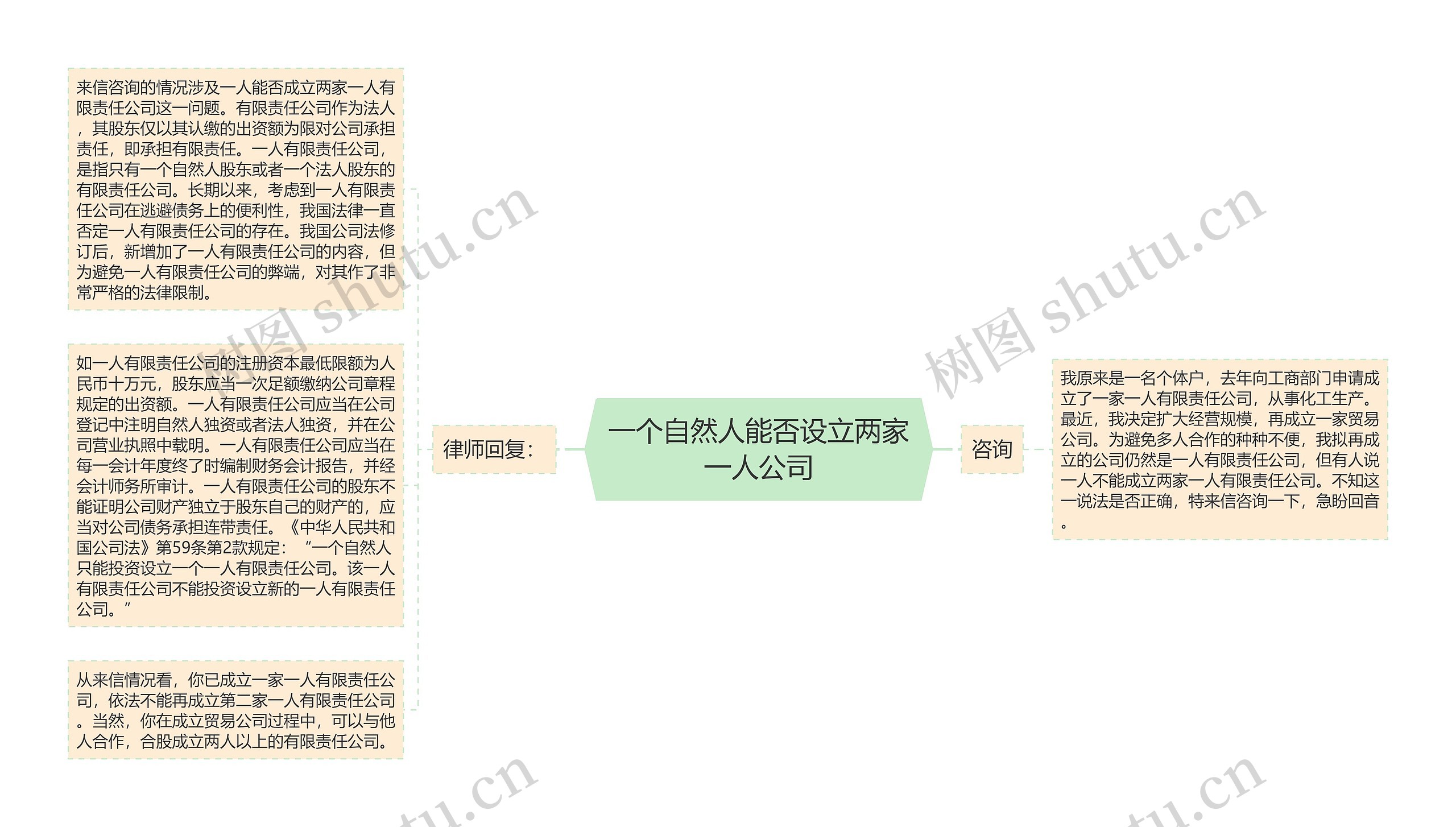 一个自然人能否设立两家一人公司思维导图