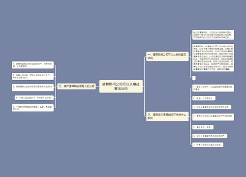 清算期间公司可以从事经营活动吗