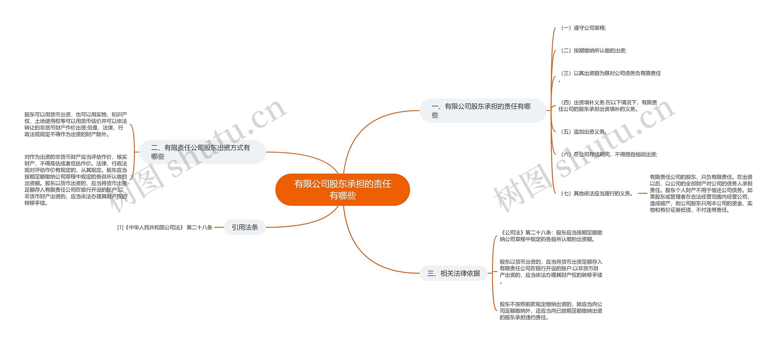 有限公司股东承担的责任有哪些