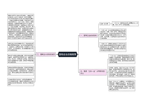 国有企业改制政策