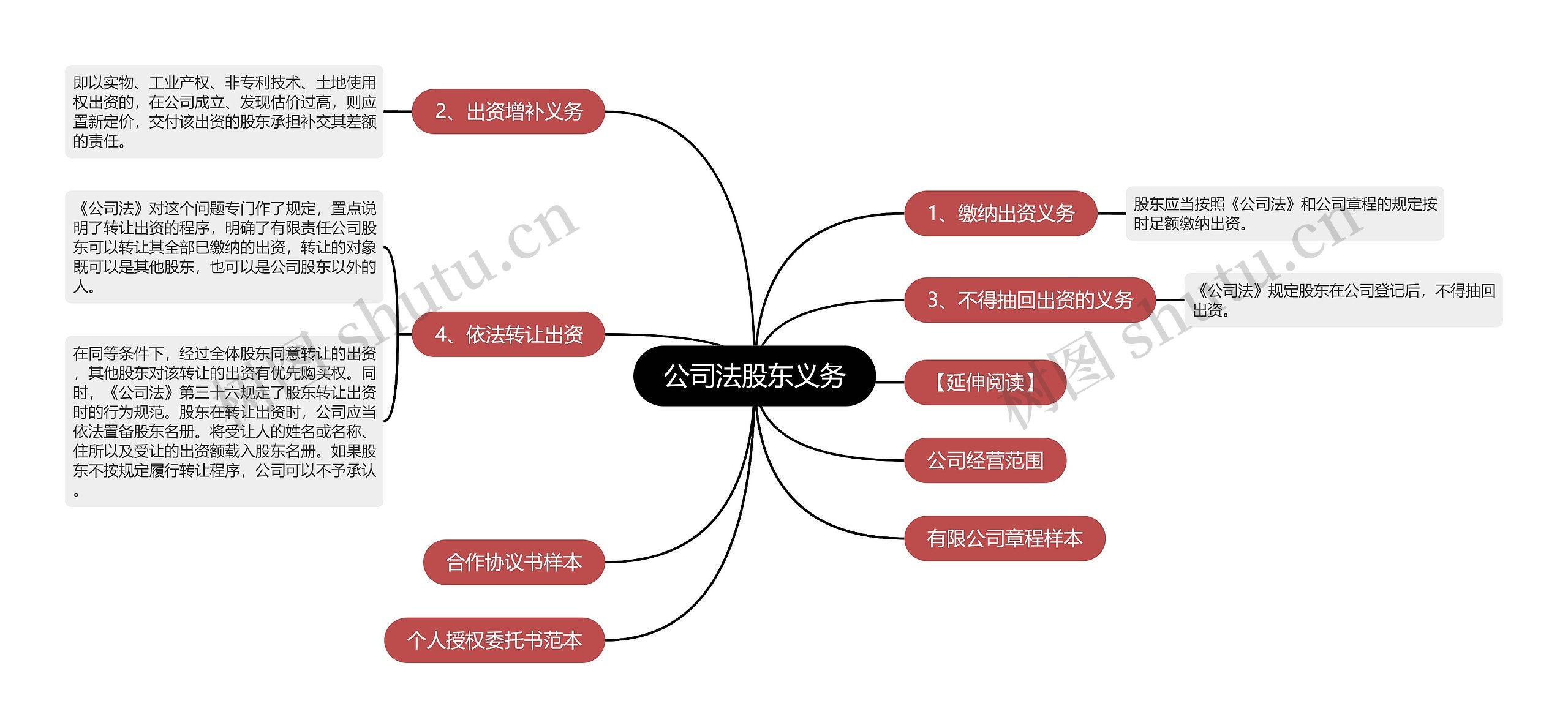 公司法股东义务思维导图