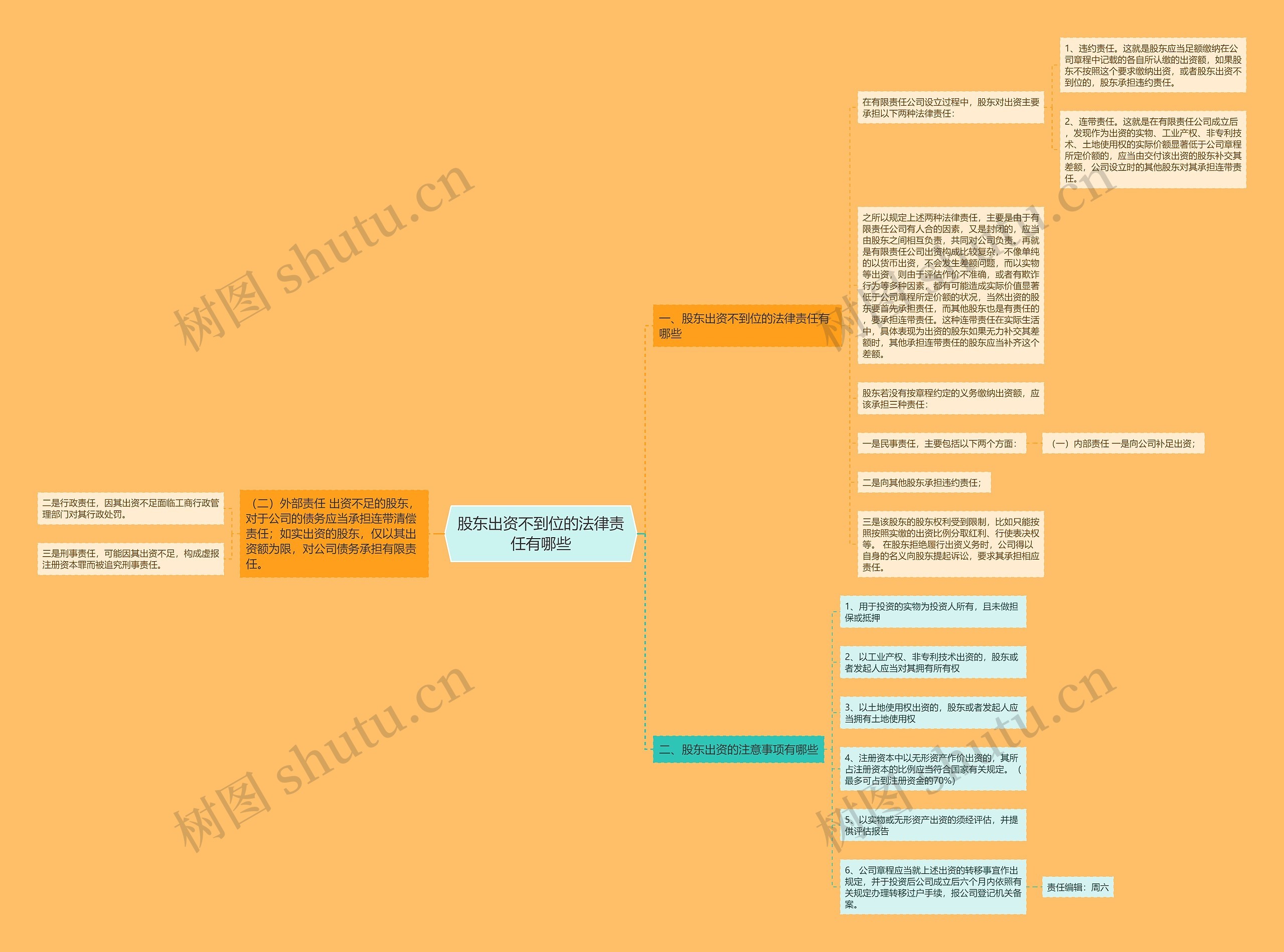 股东出资不到位的法律责任有哪些思维导图