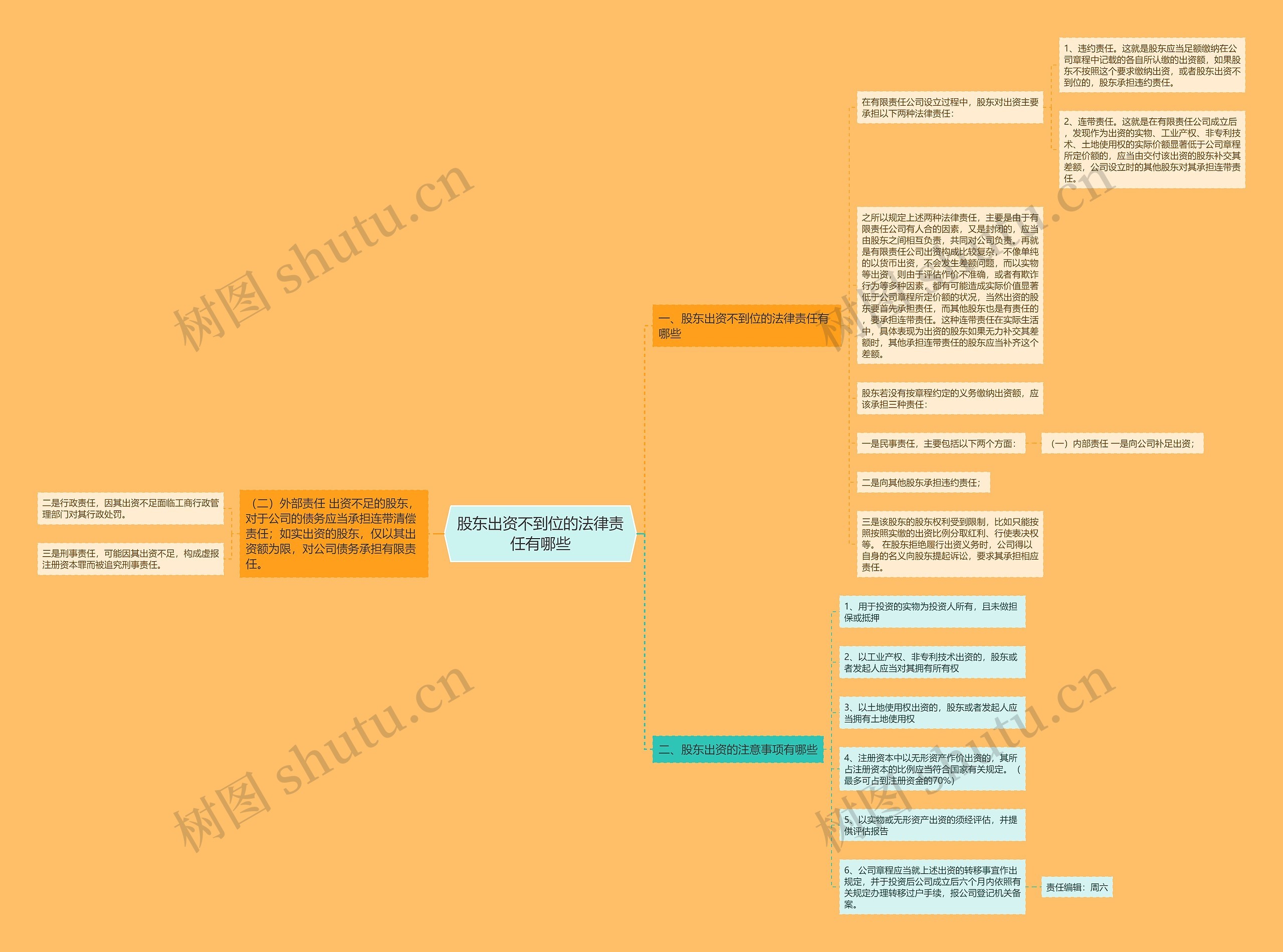 股东出资不到位的法律责任有哪些 股东出资不到位的法律责任有哪些