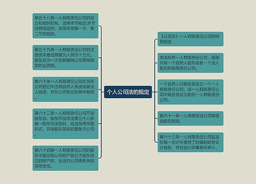 个人公司法的规定