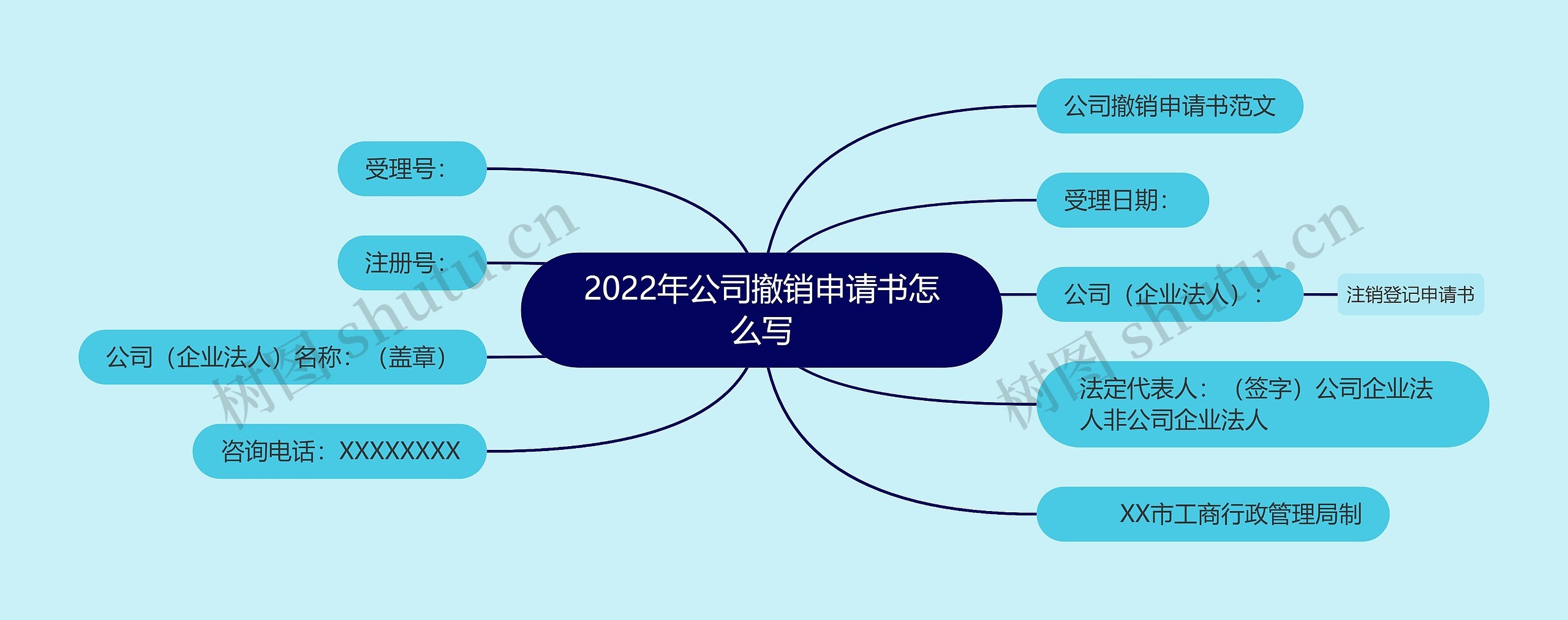 2022年公司撤销申请书怎么写思维导图