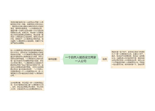 一个自然人能否设立两家一人公司