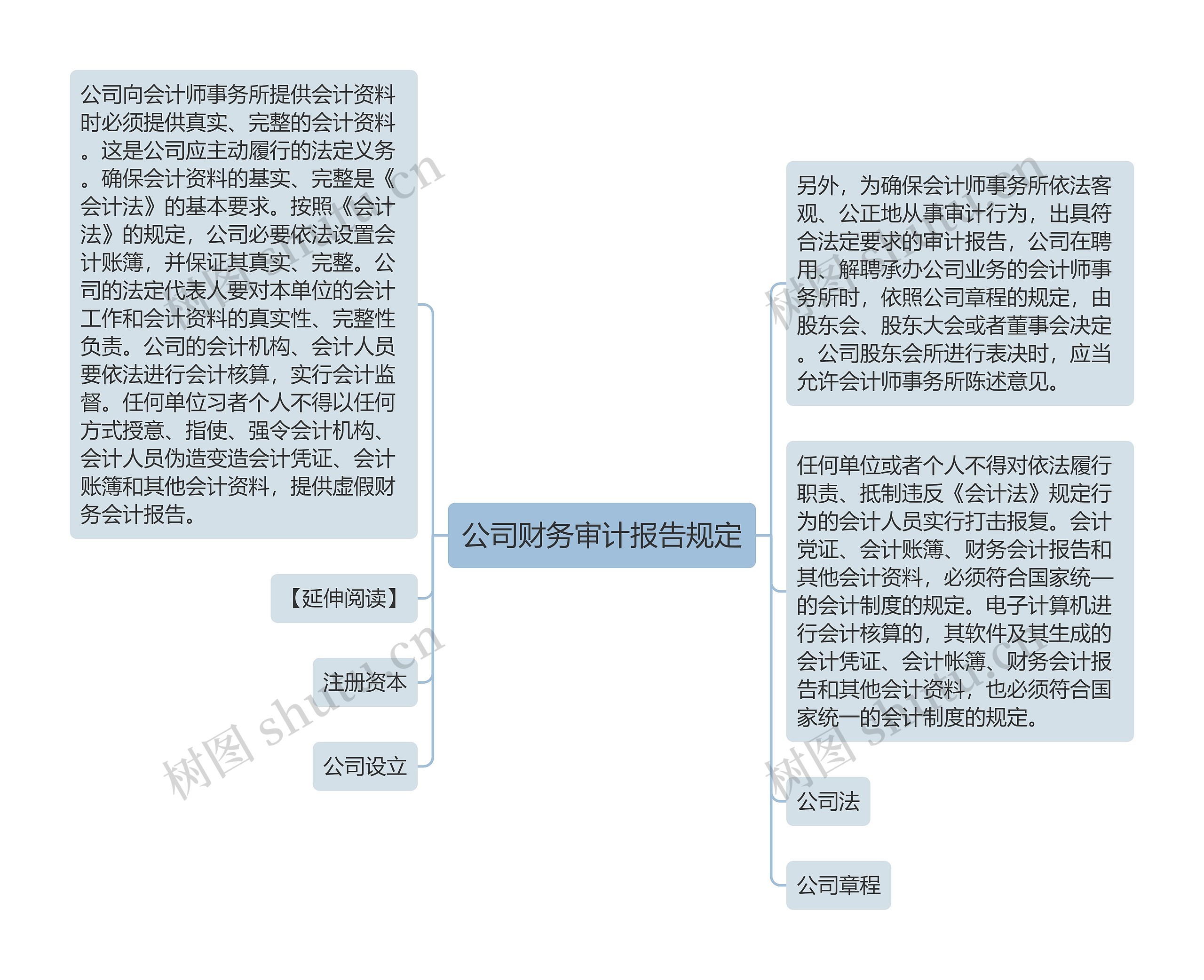 公司财务审计报告规定思维导图