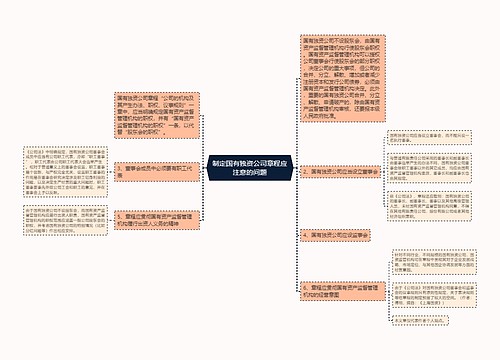 制定国有独资公司章程应注意的问题