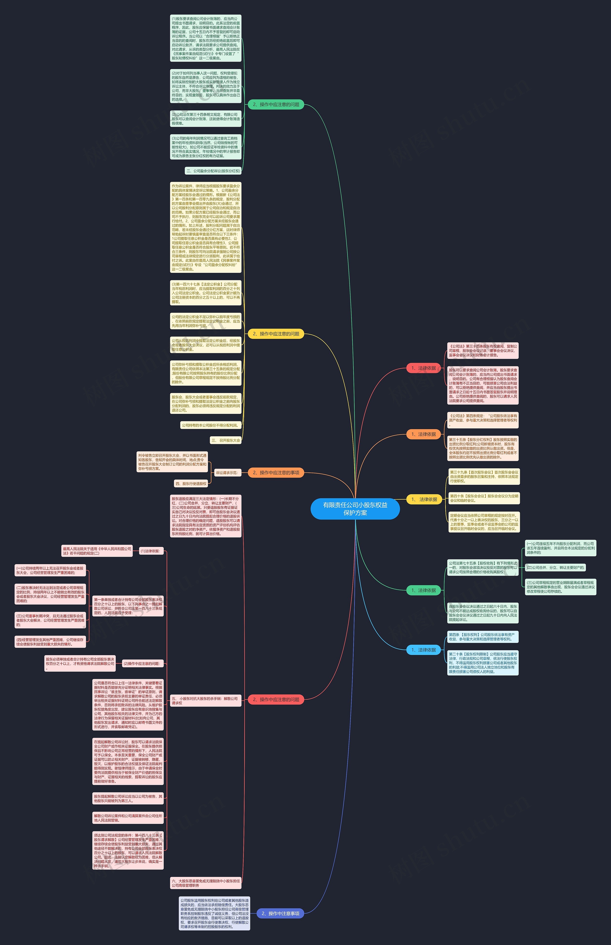 有限责任公司小股东权益保护方案思维导图