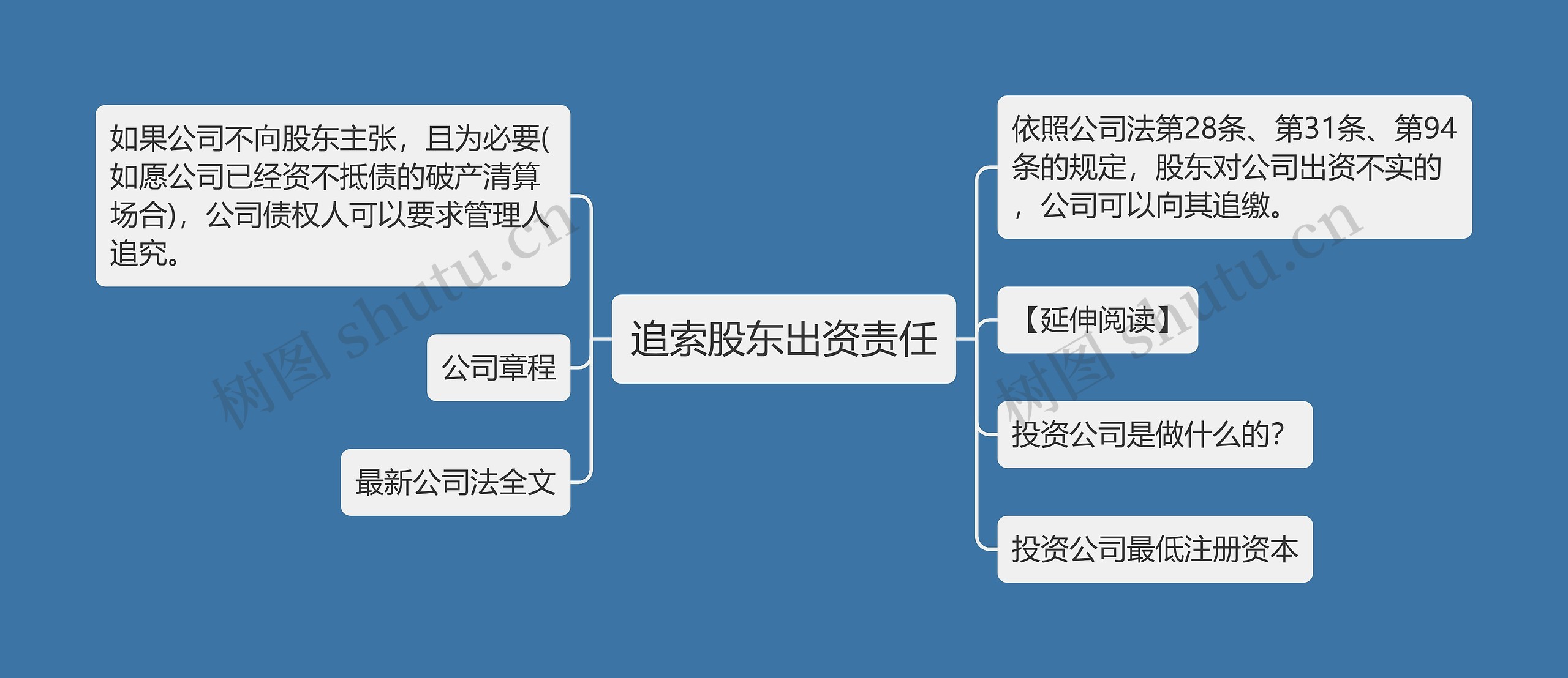 追索股东出资责任思维导图