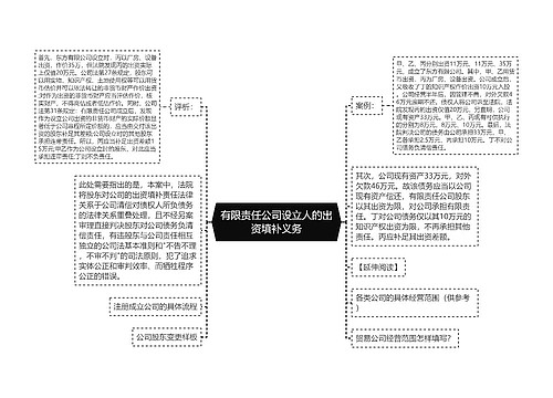 有限责任公司设立人的出资填补义务