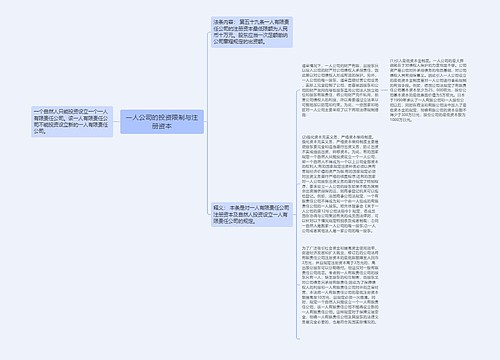 一人公司的投资限制与注册资本