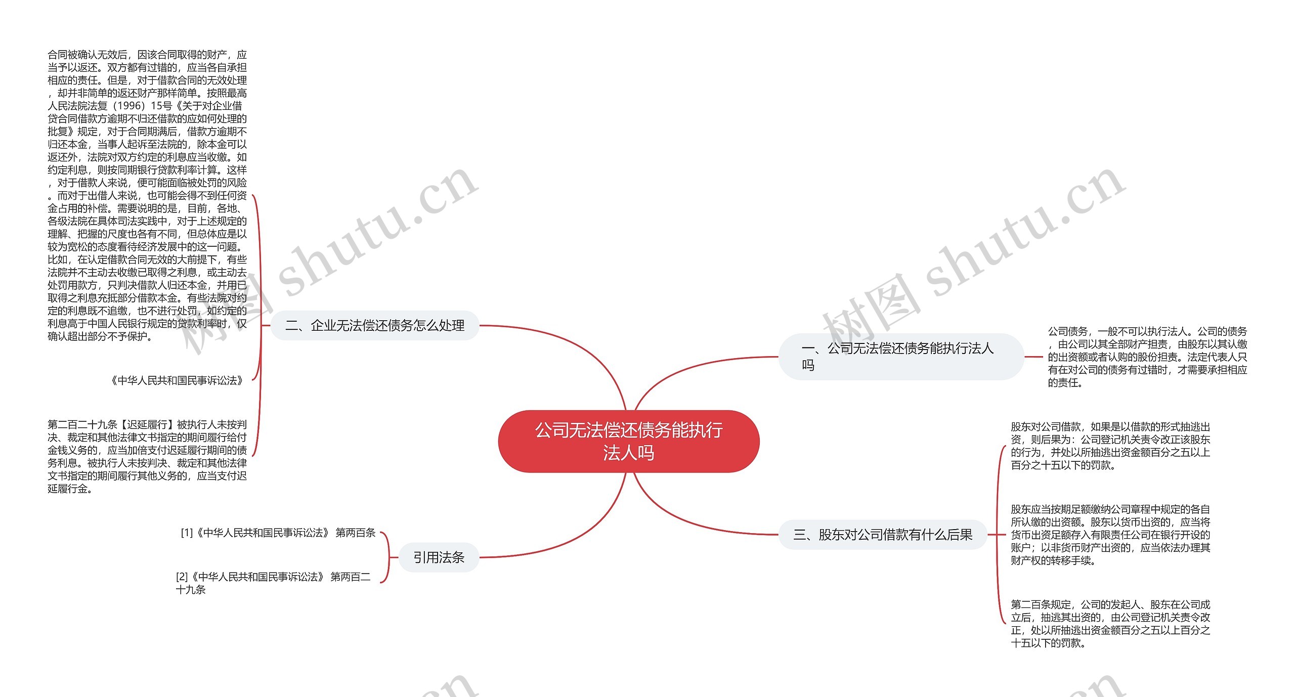 公司无法偿还债务能执行法人吗