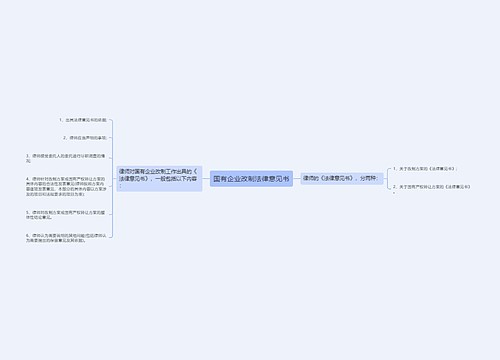 国有企业改制法律意见书