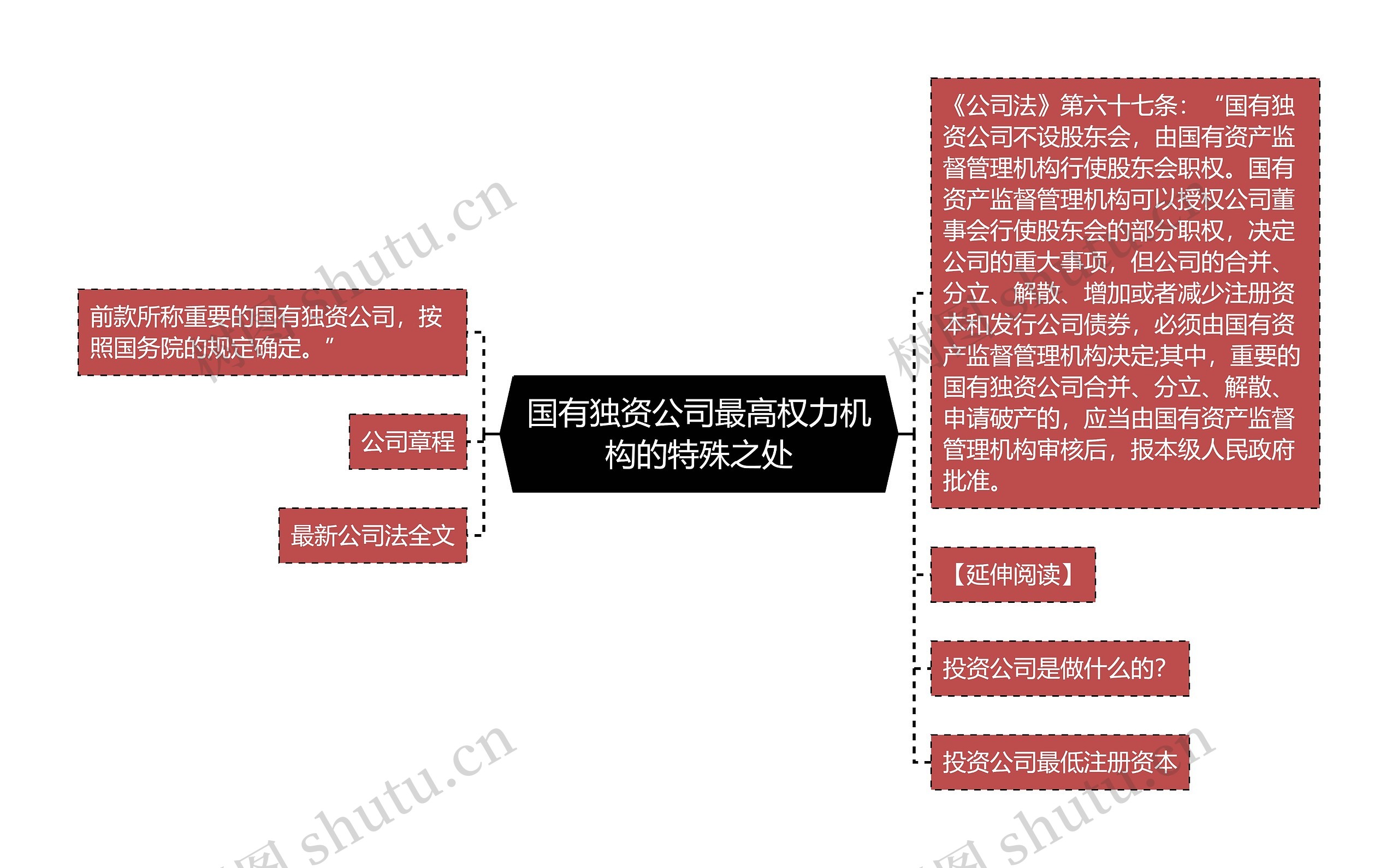 国有独资公司最高权力机构的特殊之处思维导图