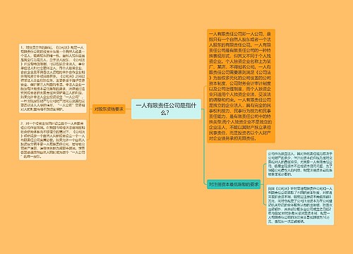 一人有限责任公司是指什么？