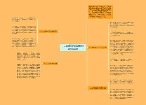 一人有限公司与有限责任公司的区别