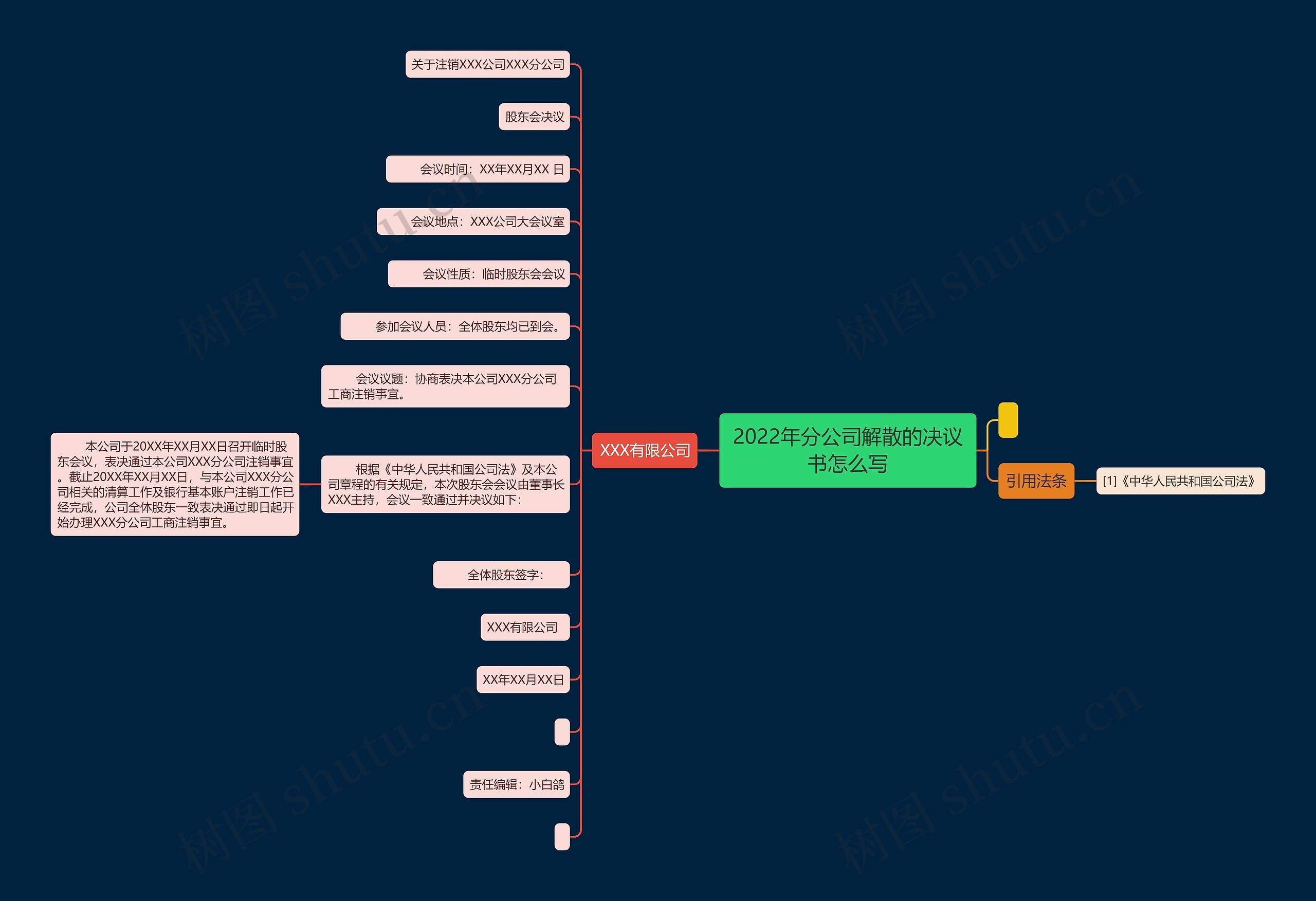 2022年分公司解散的决议书怎么写思维导图