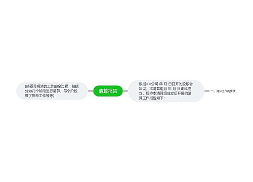 清算报告