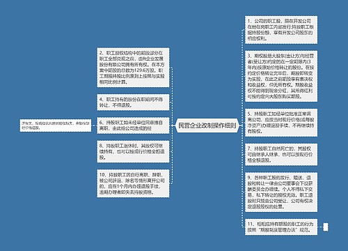 民营企业改制操作细则