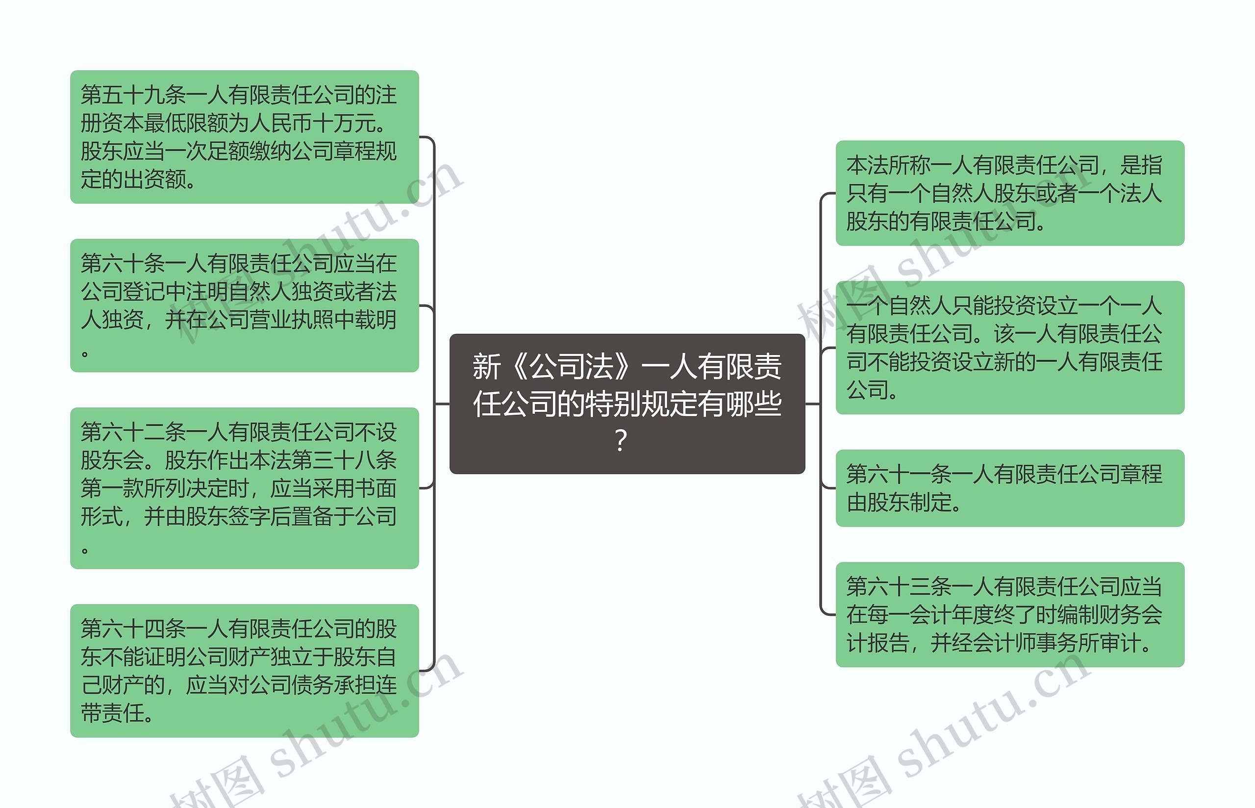 新《公司法》一人有限责任公司的特别规定有哪些？思维导图