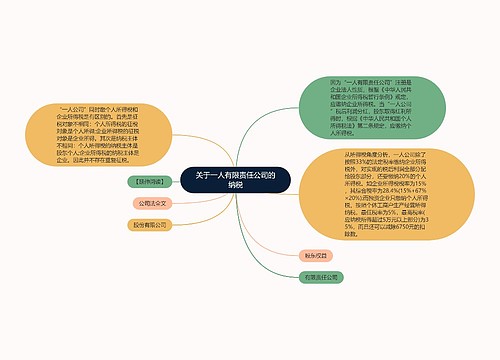 关于一人有限责任公司的纳税