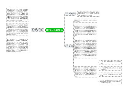 破产会计对象是什么