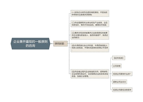 企业兼并重组的一般原则的咨询