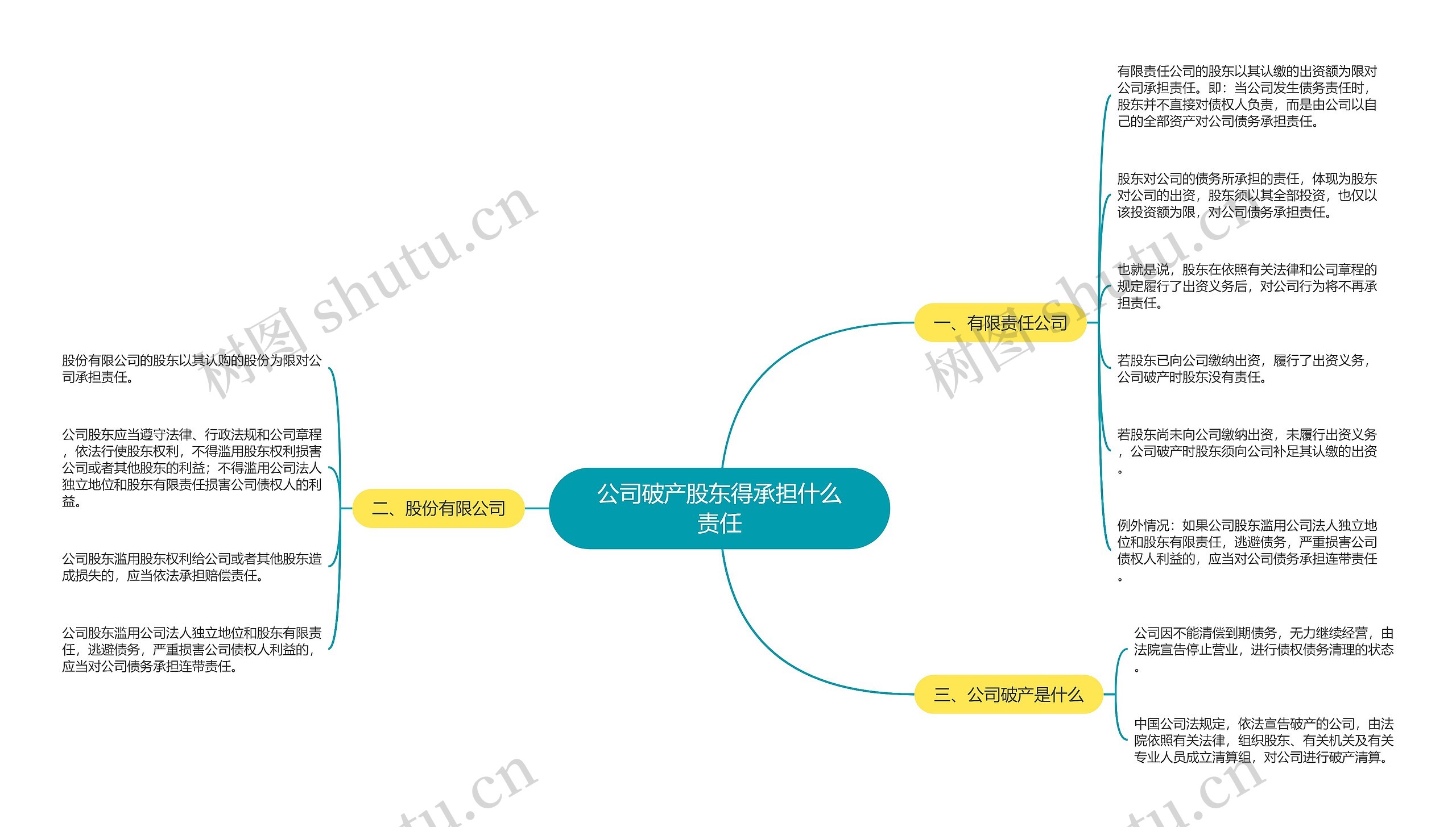 公司破产股东得承担什么责任