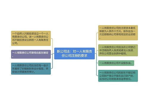 新公司法：对一人有限责任公司注册的要求