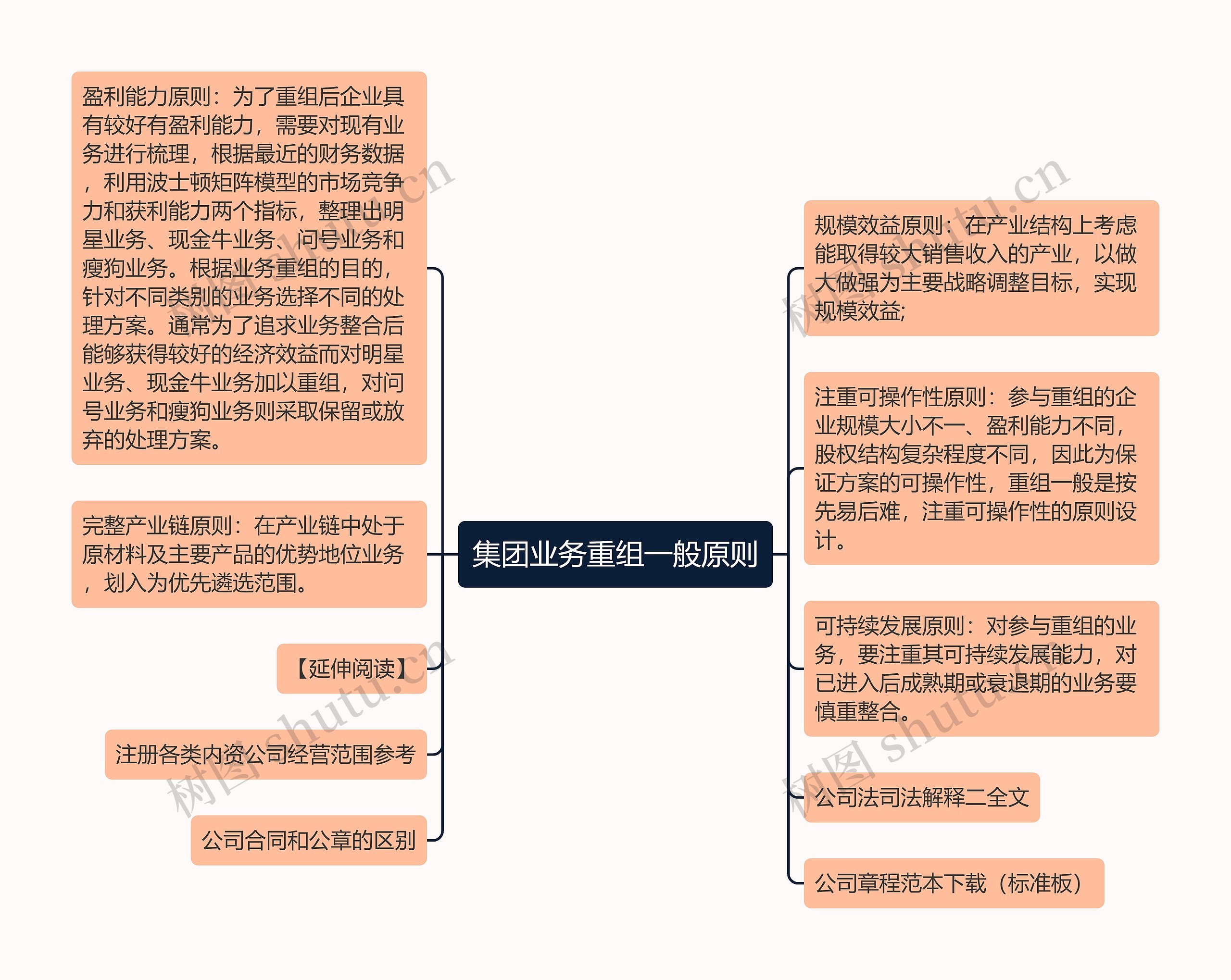 集团业务重组一般原则