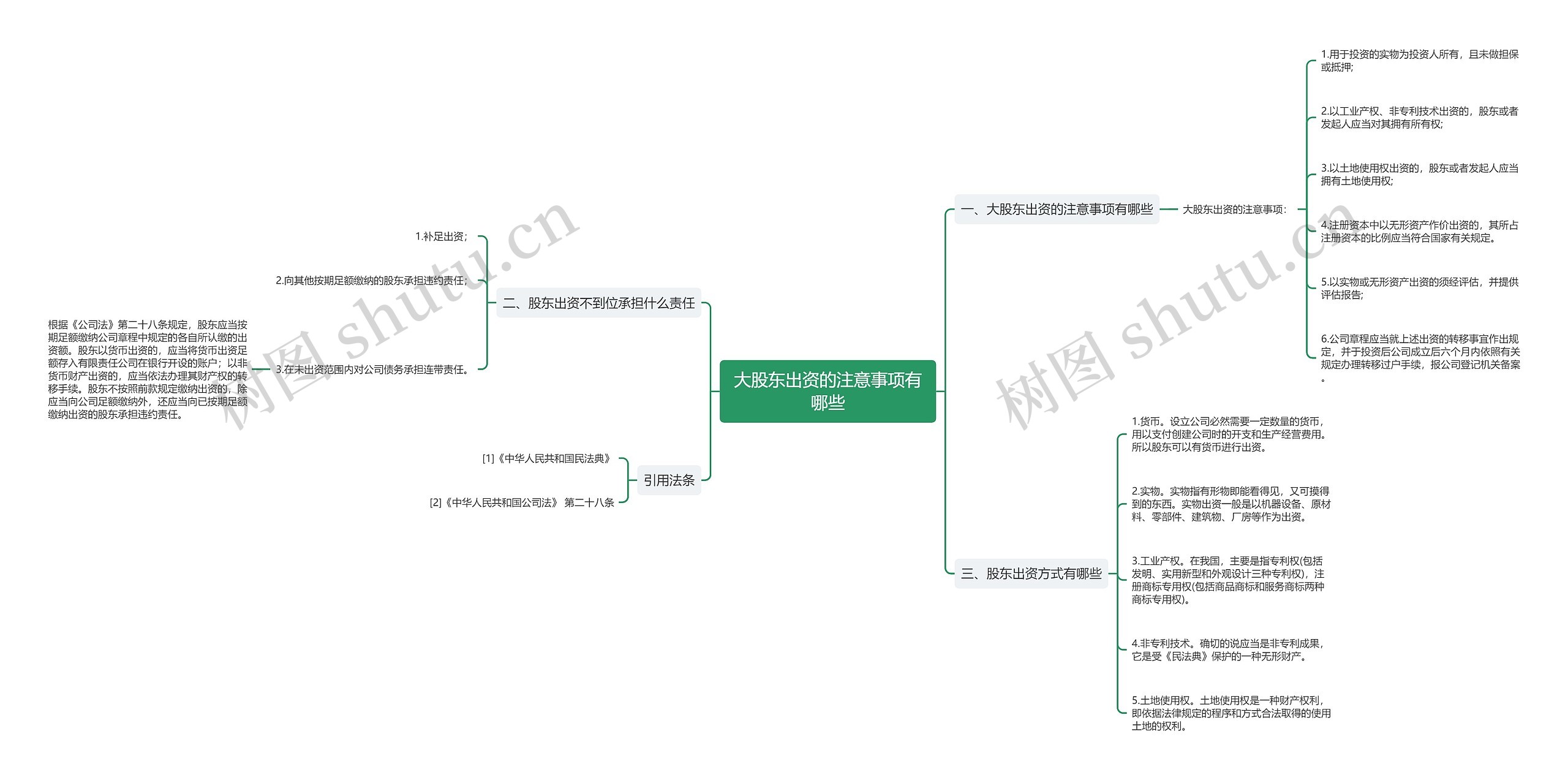 大股东出资的注意事项有哪些思维导图