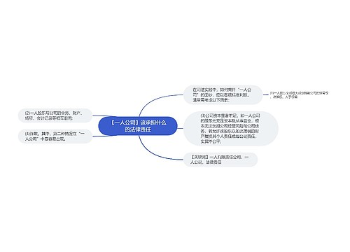 【一人公司】该承担什么的法律责任