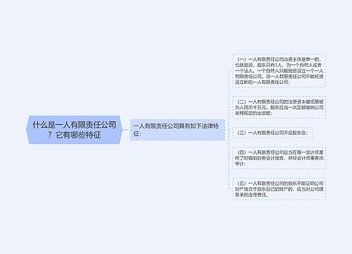 什么是一人有限责任公司？它有哪些特征