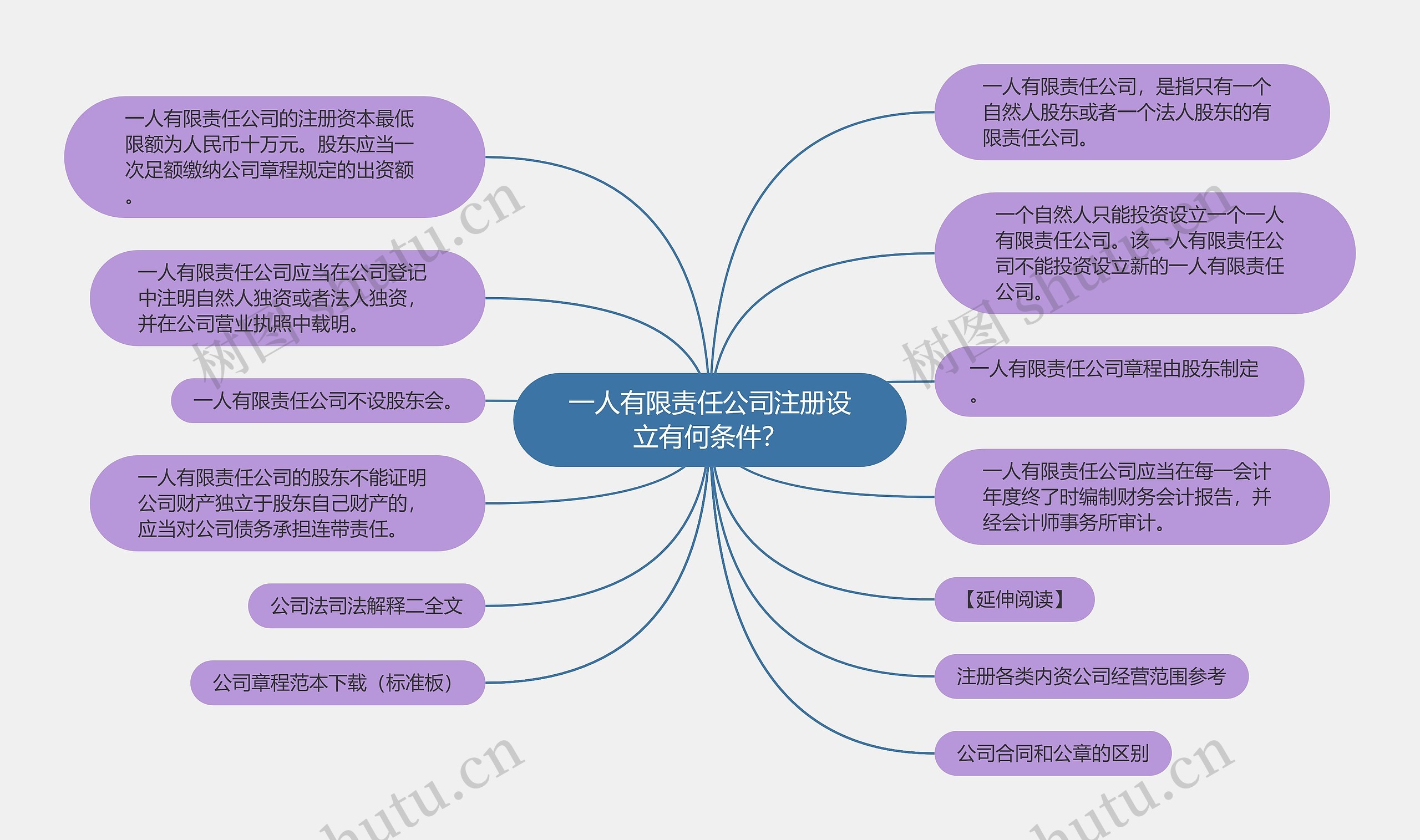 一人有限责任公司注册设立有何条件？