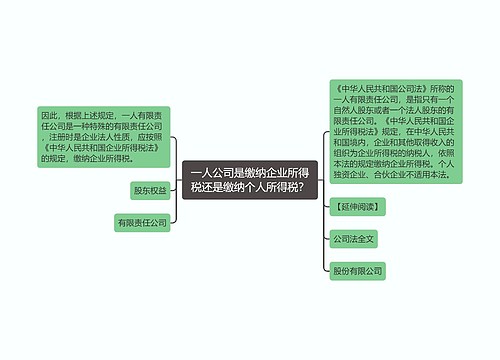 一人公司是缴纳企业所得税还是缴纳个人所得税？