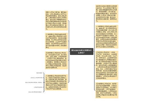 股东违反出资义务要负什么责任？