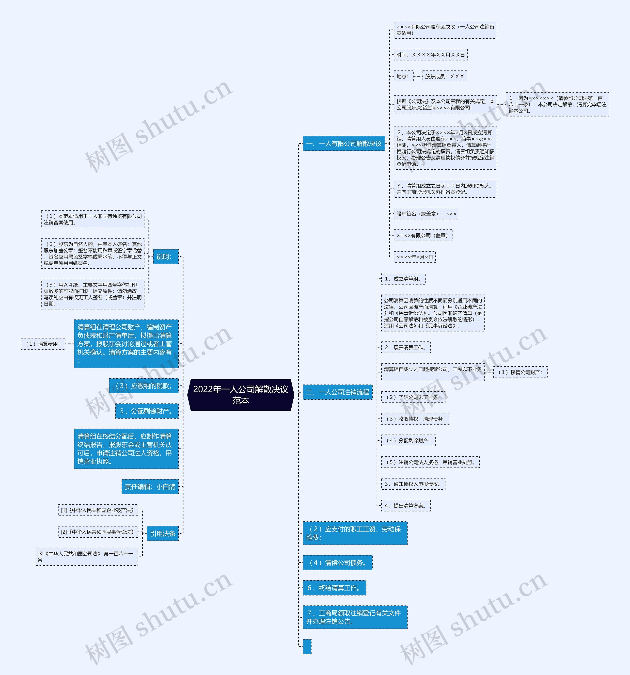 2022年一人公司解散决议范本思维导图