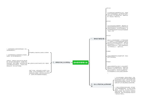 国有股权管理方案