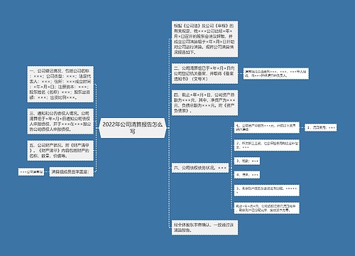 2022年公司清算报告怎么写