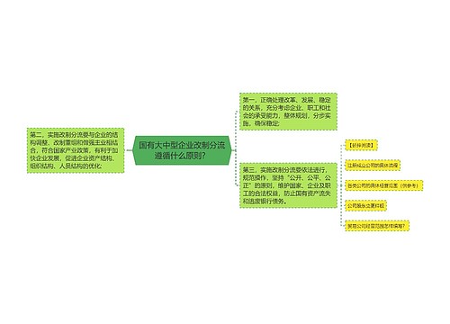 国有大中型企业改制分流遵循什么原则？