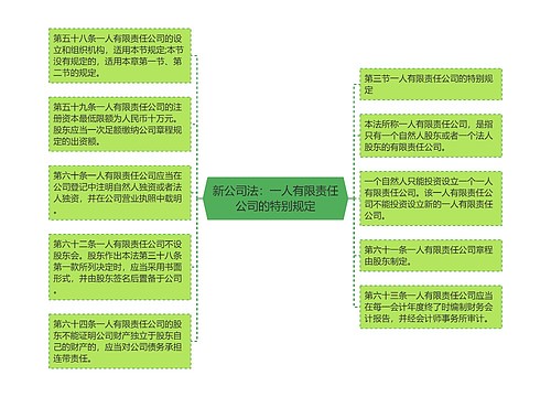 新公司法：一人有限责任公司的特别规定