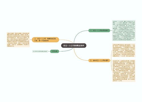 设立一人公司的限定条件