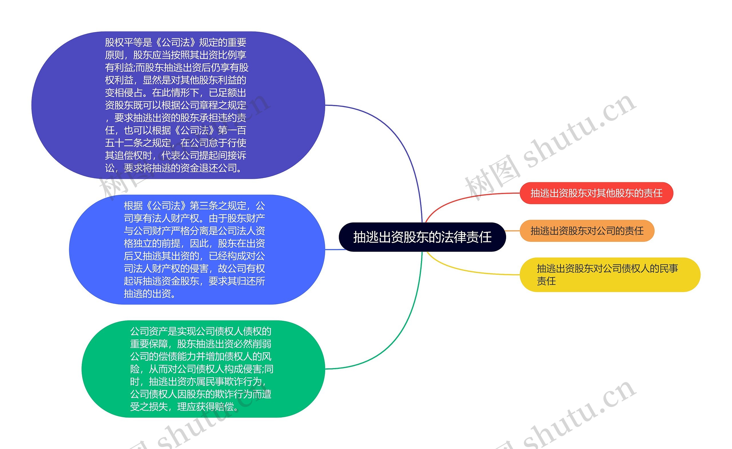 抽逃出资股东的法律责任思维导图