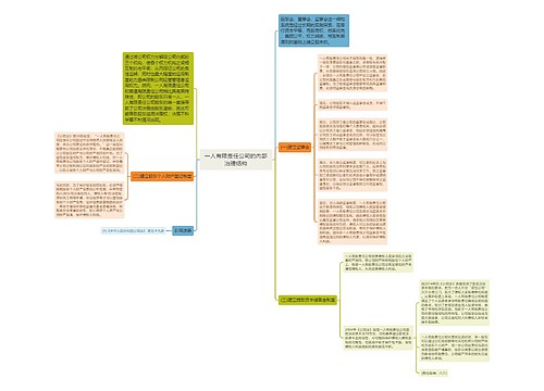 一人有限责任公司的内部治理结构