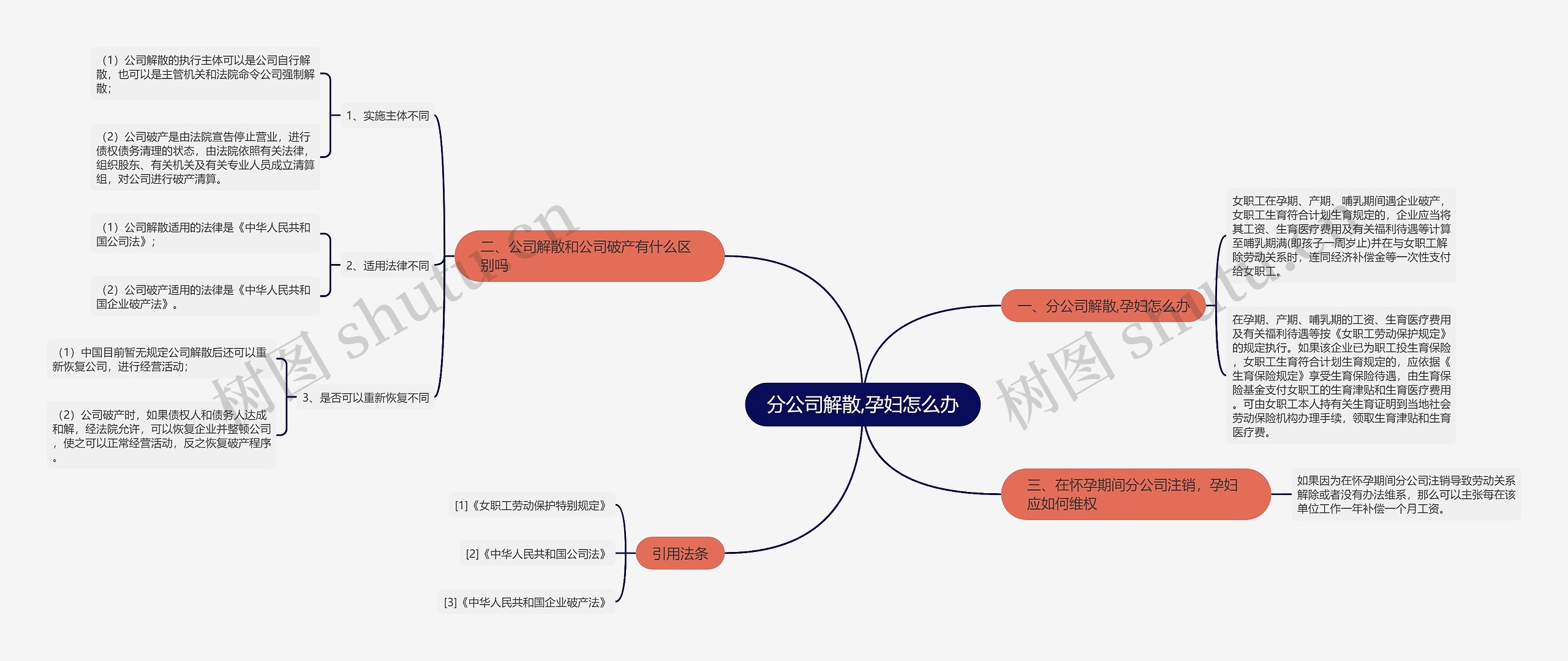 分公司解散,孕妇怎么办思维导图