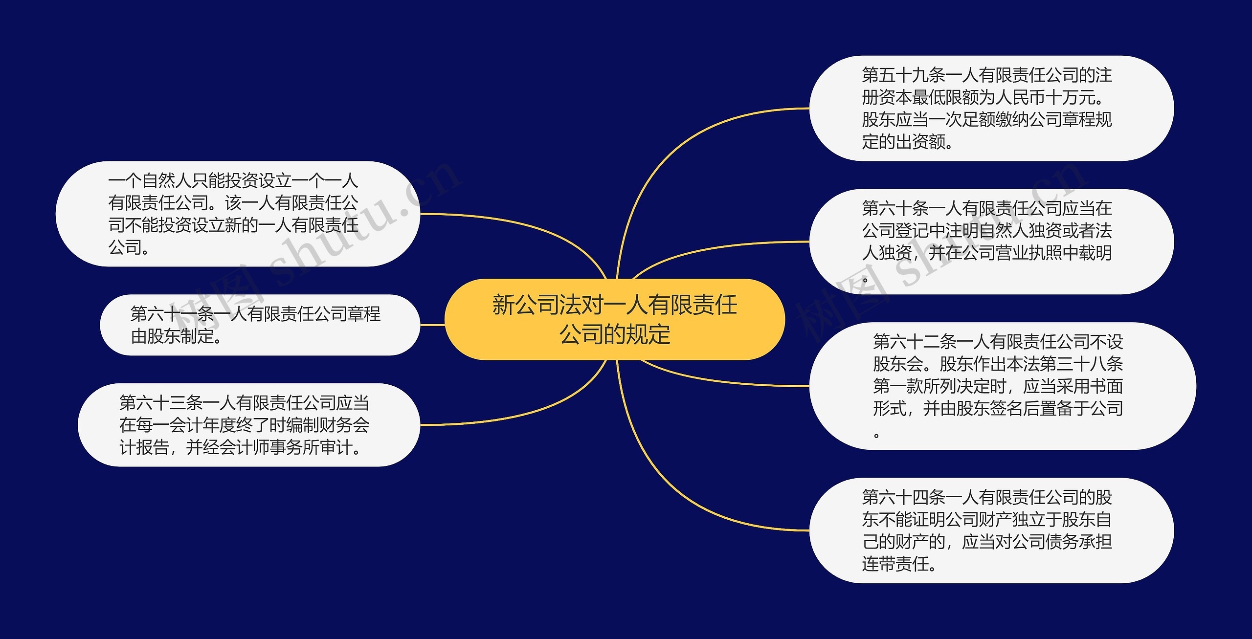 新公司法对一人有限责任公司的规定思维导图