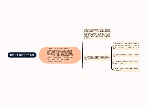 民营企业改制宗旨及方针