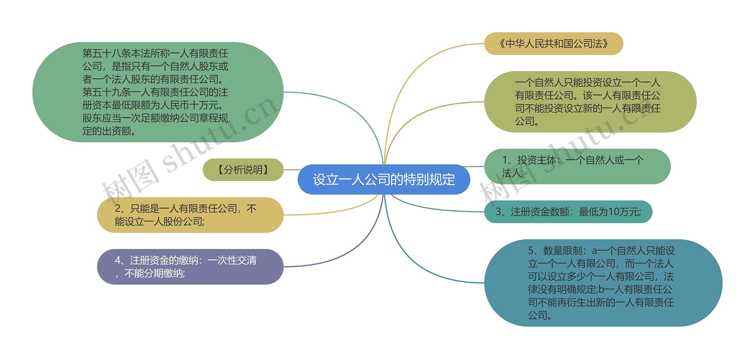 设立一人公司的特别规定