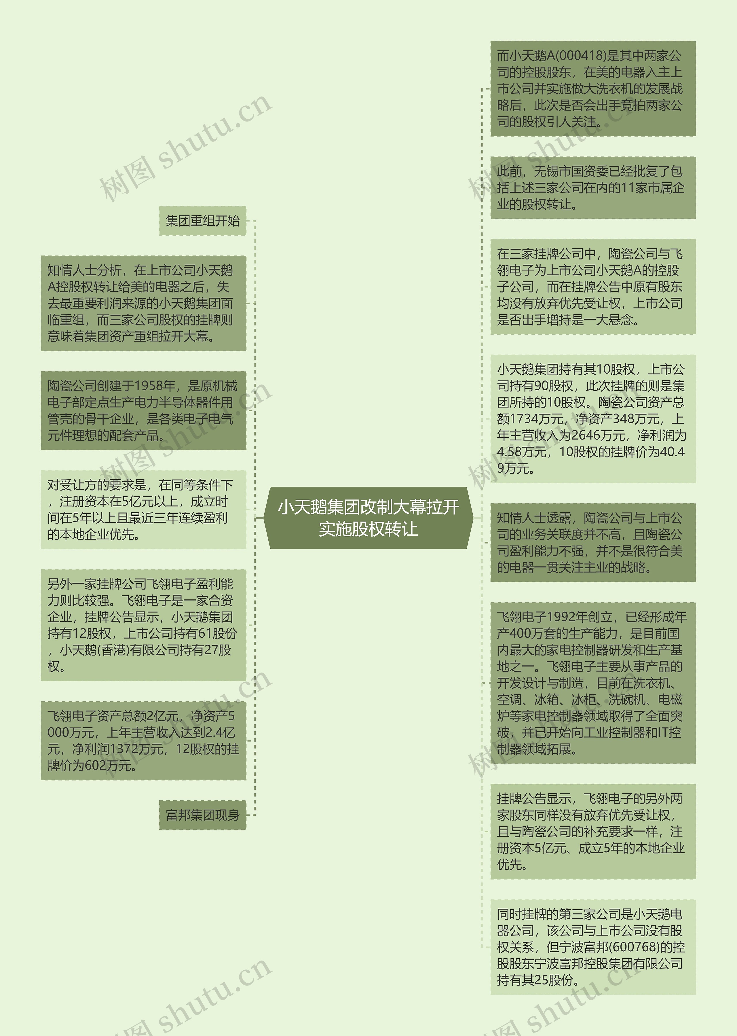 小天鹅集团改制大幕拉开实施股权转让思维导图